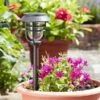 Smart Solar Avant Stake Light, 5pk -Garden Furniture Shop 39352 11961
