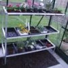 Halls Greenhouses Seed Tray 3 Tier X 15 Trays -Garden Furniture Shop 48338 38282