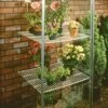 Halls Greenhouses Staging Pair For The Wall Garden -Garden Furniture Shop 48351 38246