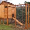 A1 Raised Chicken Coop
