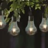 Smart Garden Eureka! Retro Lightbulb, 4 Pack 1 Smart Garden Eureka! Retro Lightbulb, 4 Pack -Garden Furniture Shop 50895 31443