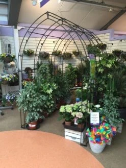 Poppy Forge Gothic Tunnel -Garden Furniture Shop 53258 26528