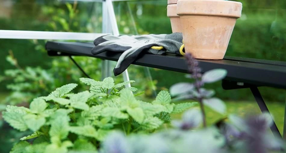Halls Greenhouses Integral Shelving 4 Halls Greenhouses Integral Shelving - Image 2